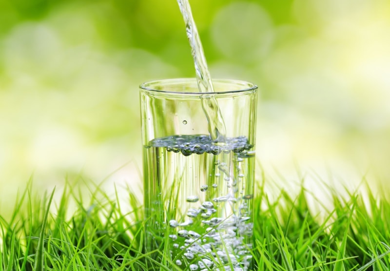 103 წლის ინდრა დევი: “არ დალიოთ წყალი ჭამის დროს, ეს კუჭის წვენს აწყალებს!”